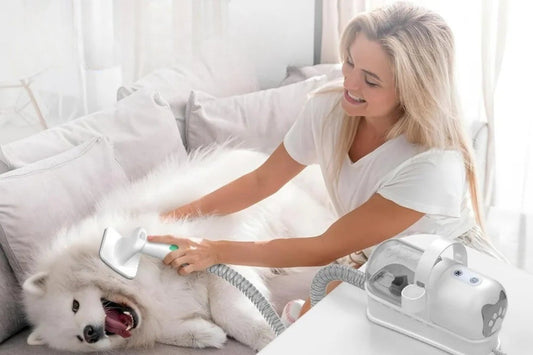 Do Grooming Vacuums Really Work? A Comprehensive Insight