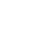 insagram icon